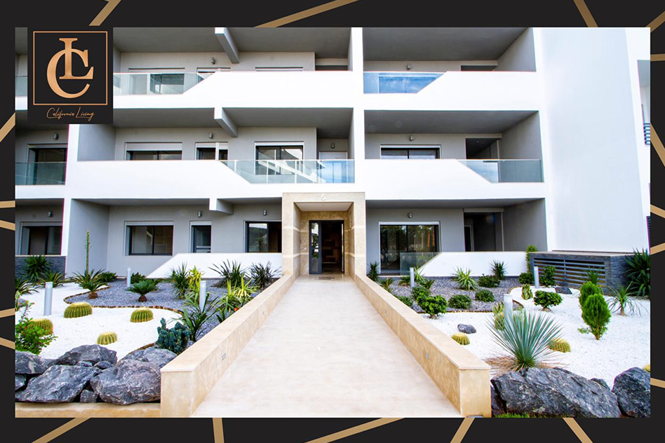 Modern house with swimming pool